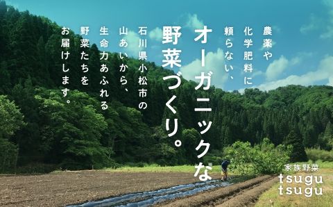 【先行予約】【農薬・化学肥料不使用】ねっとり甘~い おいもさん（紅はるか） ５kg   ey002n00