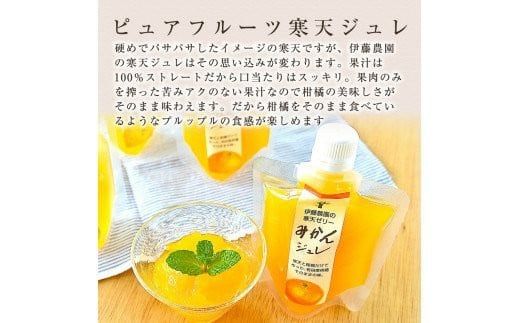 640.伊藤農園 ピュアフルーツ寒天ジュレドリンクタイプ 不知火 12本セット(A640-3)