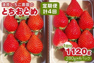 [先行予約][4ヶ月連続定期便] 澳原いちご農園のとちおとめ定期便 (毎月お届け 計4回)|いちご イチゴ 苺 フルーツ 果物 産地直送 栃木県産 [0484]