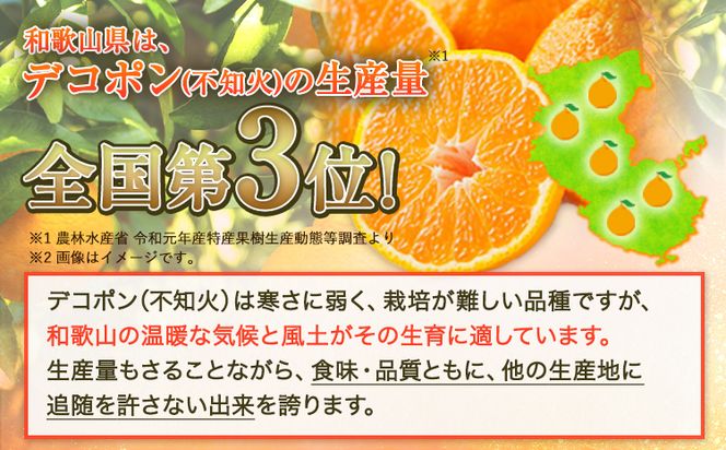 【お味濃厚】紀州有田産の デコポン 約 5kg(18玉～24玉入り・青秀以上) 厳選館 《2025年1月下旬頃-4月上旬頃出荷》和歌山県 日高町 送料無料 柑橘 柑橘類 でこぽん---iwsh_gsk48_1g4j_24_18000_5kg---