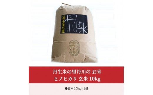 【B02008】丹生米の里丹川のお米 ヒノヒカリ玄米 10kg