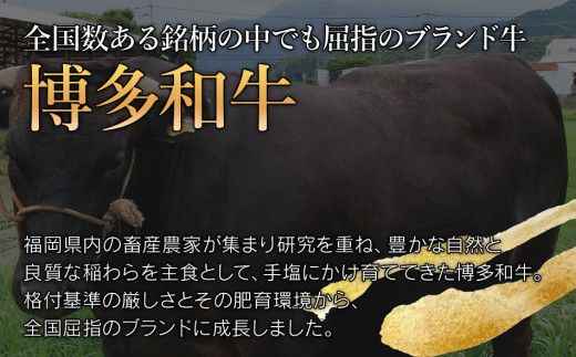 【訳あり】博多和牛ヒレ焼肉600g