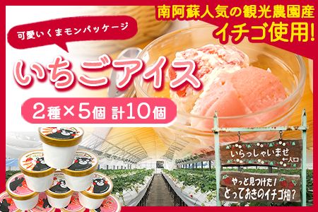 いちごアイス2種×5個セット やっと見つけた!とっておきのイチゴ畑? 熊本県南阿蘇村[30日以内に出荷予定(土日祝除く)]苺 イチゴ アイス ジェラート---isms_fyatoaice_30d_r7_14000_10p---