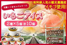 いちごアイス2種×5個セット やっと見つけた！とっておきのイチゴ畑？ 熊本県南阿蘇村《30日以内に出荷予定(土日祝除く)》苺 イチゴ アイス ジェラート---isms_fyatoaice_30d_23_15000_10p---