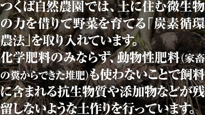 黒にんにく ( フルーツガーリック ） 詰め合わせ 250g （10〜13個） にんにく 黒ニンニク ガーリック 有機栽培 オーガニック [CW10-NT]