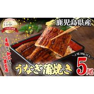 桜林養鰻のうなぎ蒲焼 計500g以上(100g以上×5尾) b7-016