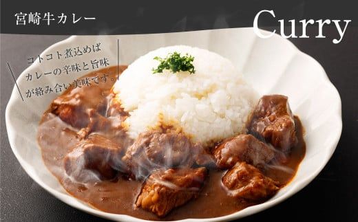 ＜宮崎牛ネック・チマキ（すね）煮込み用800g＞翌月末迄に順次出荷【c980_tf_x1】