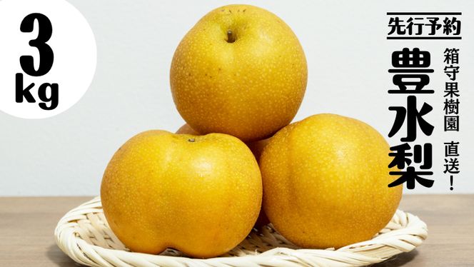 �y��錧�}���s�z�y ��s�\�� �z����ʎ��� �����I �L ���� 3kg �Ȃ� �� �ق����� �L�� �ʎ� �ʕ� �t���[�c [DE001ci]