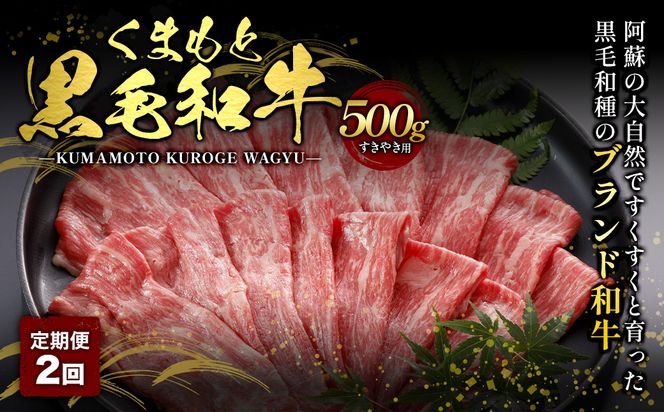 【定期便2回】くまもと黒毛和牛 すきやき用 500g