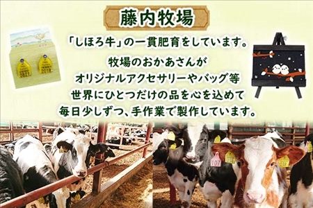 北海道 シマエナガ フレーム アートフレーム 藤内牧場 イーゼル アート 雪の妖精 モチーフ 自然 ハンドメイド 手作り 手芸 送料無料 十勝 士幌町【U04】