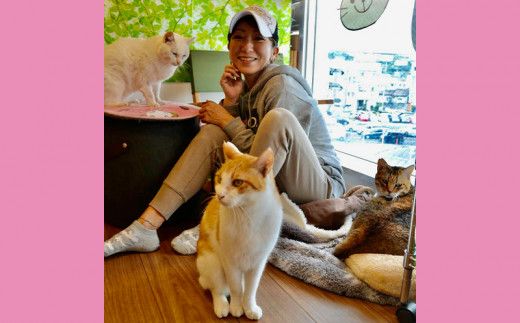 【南の島の動物愛護活動】保護猫活動等をサポート（5万円）- ねこ ネコ 地域猫 保護活動 支援 応援 さくらねこ 動物愛護 保護 里親 寄附のみ 沖縄県 八重瀬町