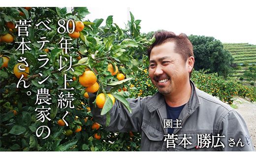 『菅本果実園』のみかん★約3kg(2S-Lサイズ)  フルーツ 秋 旬【日付指定不可】 ★熊本県玉名郡玉東町 全国にファン多数！エコファーマー菅本さんのみかん『菅本果実園』《11月中旬-12月末頃出荷》---sg_sugamikan_bc11_25_10500_3kg---