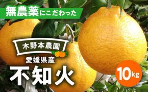 【栽培期間中農薬不使用】【先行受付】【数量限定】農園直送！愛媛県産不知火 10kg ｜ 柑橘 みかん ミカン 蜜柑 フルーツ 果物 ギフト 贈り物 栽培期間 無農薬 愛媛県産　※2025年2月上旬頃より順次発送予定