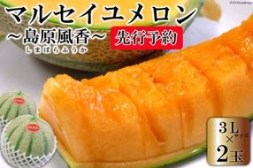 BD201【令和7年度出荷分】マルセイユメロン～島原風香～（3L×2玉） 【メロン 赤肉 果物 くだもの フルーツ 産地直送 長崎県 島原市】