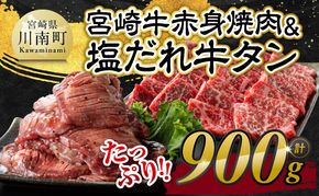 宮崎牛赤身焼肉＆塩だれ牛タン　計900g 【 肉 宮崎牛 赤身 牛肉 牛たん たん 厚切り 塩ダレ 塩だれ タン 味付き BBQ 焼肉 焼き肉 焼くだけ おかず 簡単調理 】[E11147]