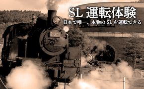 ＳＬ運転体験＜日本で唯一、本物のSL※1939年日本車輛製蒸気機関車Ｓ－３０４を運転できる＞寄附使途指定【13026】