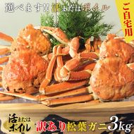 【活】訳あり　松葉ガニおまかせ3kg（5～8枚） ※2024年11月上旬～2025年3月下旬頃に順次発送予定 ※着日指定不可