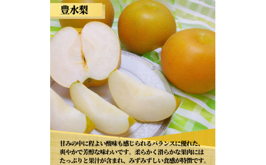 茨城県産 梨【品種おまかせ】約5kg【茨城県共通返礼品　かすみがうら市産】※2025年9月中旬～2026年1月下旬頃に順次発送予定 ※離島への配送不可