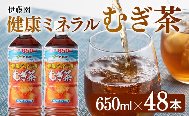 健康ミネラルむぎ茶650ml×24本×2ケースPET 飲料類 お茶 麦茶☆ [D07358]