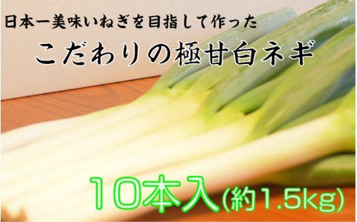 冷蔵発送/小田農園の極甘白ネギ1.5kg_1767R