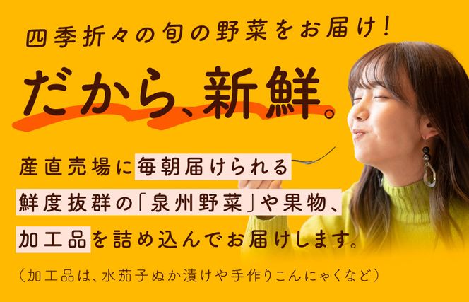 099Z190 泉州野菜 定期便 全4回 15種類以上 詰め合わせ 国産 新鮮 冷蔵【毎月配送コース】