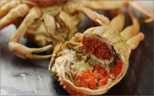 【蟹の匠 魚政】内子外子が美味! 茹でたて セイコガニ（セコ蟹）（香箱ガニ）（こっぺ）中小サイズ 5匹セット カニ 蟹 セイコ蟹 セコガニ 香箱ガニ コッペガニ ボイル　UO01379