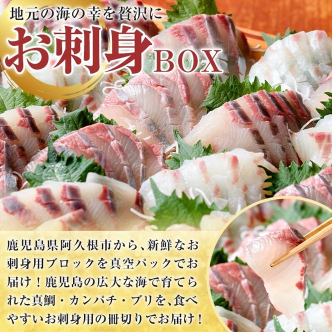 厳選お刺身BOX(8～12人前) 国産 お刺身 魚貝 魚介 鯛 カンパチ ブリ 海産物 刺身 おつまみ セット 【さるがく水産】akn028-27
