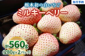 栃木初の白いちご「ミルキーベリー」560g《12月中旬より順次発送》｜いちご 苺 イチゴ フルーツ 果物 産地直送 [0567]