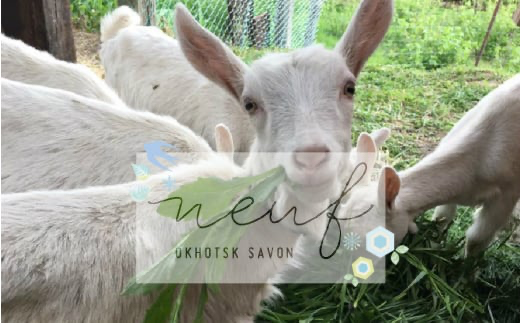 ゴートミルクソープ ラベンダー ( 石鹸 せっけん 敏感肌 アトピー 保湿 )【055-0007】