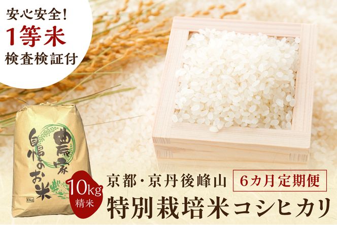 【6ヶ月定期便】2024年産 京都・京丹後峰山 特別栽培米コシヒカリ 10kg 【白米】 1等米 検査済証付　MF00030