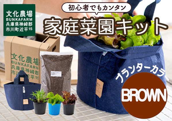 yɌs쒬z011BK02N.͂߂Ẳƒ؉LbguT_K[fviv^[FFuEj