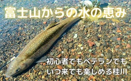 FP001 令和8年度 都留漁業協同組合年間遊漁証（全魚種）