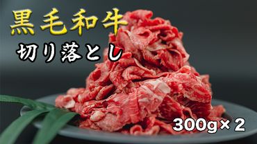 黒毛和牛 切り落とし 600g 肉 精肉 お肉 牛 牛肉 肉じゃが すき焼き 肉豆腐 カルビ 和牛 [DV01-NT]
