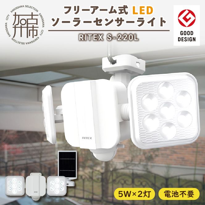 yɌÐszRITEX S-220L 5W×2 t[A[LED\[[ZT[Cgy2402O10808z