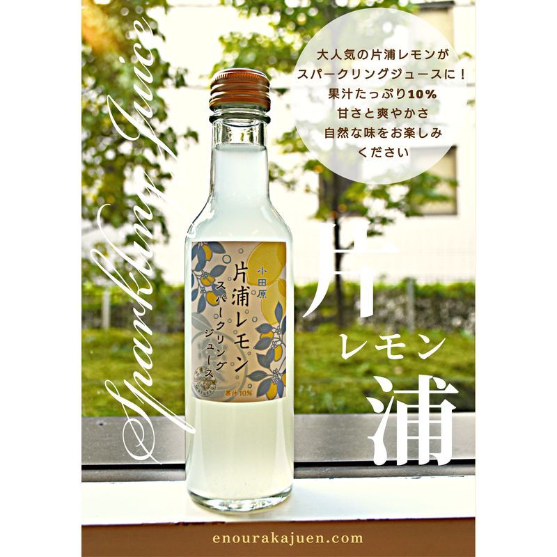 小田原産片浦レモンスパークリングジュース果汁10%200ml30本[ レモンジュース スパークリング 神奈川県 小田原市 ]