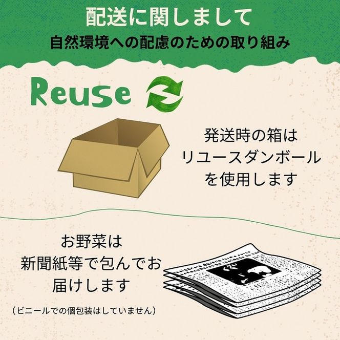 【2026年産 予約】赤たまねぎ 5kg 京都府・亀岡産 自然栽培のかたもとオーガニックファームよりお届け ※2026年6月頃より順次発送予定 ※離島への発送不可