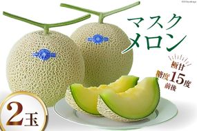 【期間限定発送】AA048 その道一筋の生産者がじっくり丁寧に育てた マスクメロン 2玉入