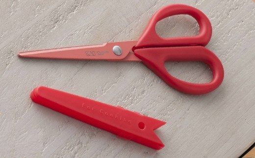 H7-140 ◇貝印 ハンディスニップバサミ【ケース付】（DH-2500）