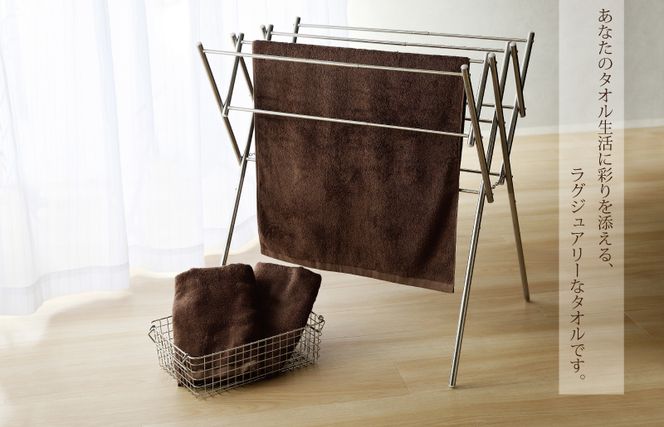 G2435 【スピード発送】ふわふわソフト バスタオル 3枚 チョコレートブラウン ホテルスタイル 60×120cm 【泉州タオル 国産 吸水 普段使い シンプル 日用品】