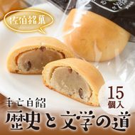 歴史と文学の道 (計15個)小豆 スイーツ スウィーツ 菓子 焼き菓子 和菓子 おやつ 詰め合わせ 個装 大分県 佐伯市【ER010】【(株)古川製菓】