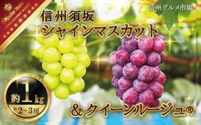 人気葡萄2種セット！シャインマスカット＆クイーンルージュ®約1kg（約2～3房）《信州グルメ市場》■2025年発送■※9月上旬頃～10月中旬頃まで順次発送予定