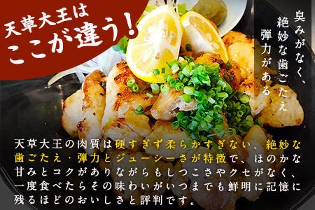 天草大王　ハーフセット 約750g【幻の地鶏】もも・むね・ささみ各1枚 熊本県産 玉東町《60日以内に出荷予定(土日祝除く)》---dg_fasohalf_60d_r7_11000_750g---