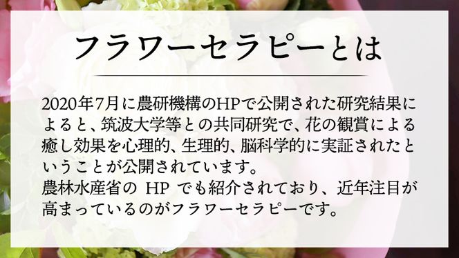 【 6ヶ月 定期便 】 癒し の フラワー セラピー ブーケ Sサイズ お花 花 はな リラックス リフレッシュ ストレス [CT109ci]