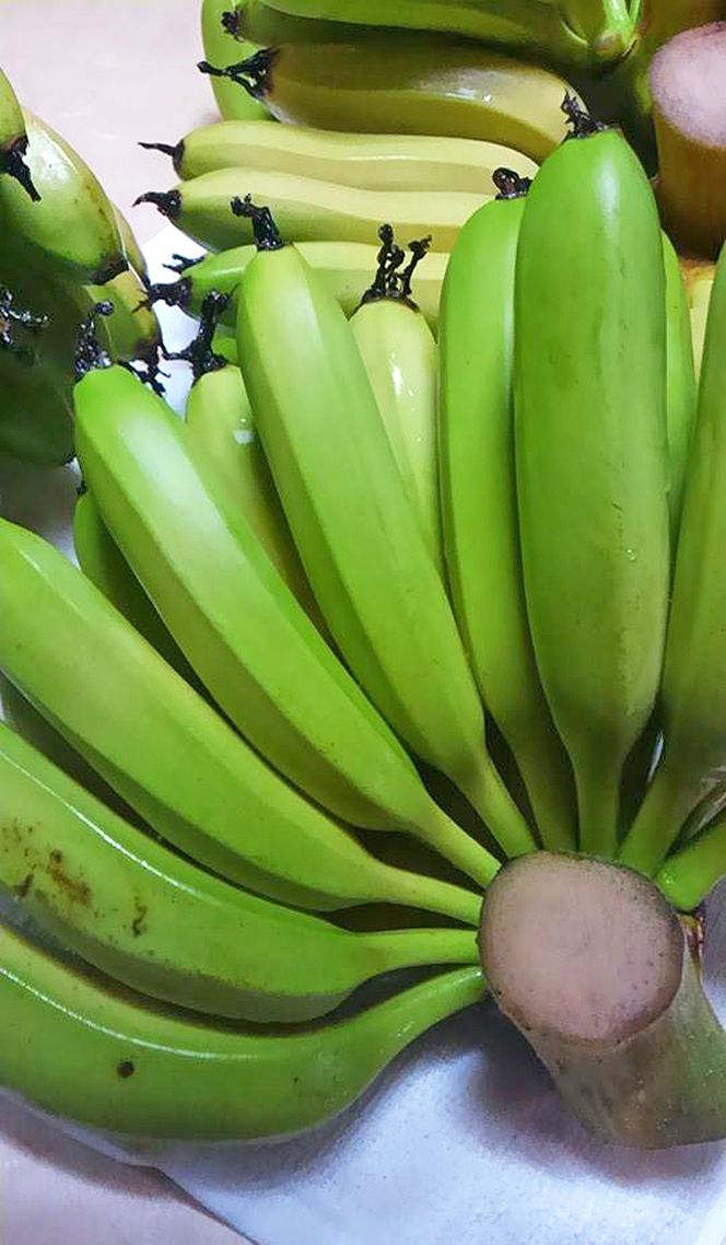 超希少！美浜町産バナナ（モッチリ系の品種）たっぷり2kg入り！
