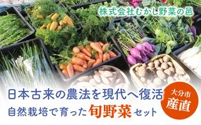 【F01005 】むかし野菜の邑 大分市産直 自然栽培の野菜セット