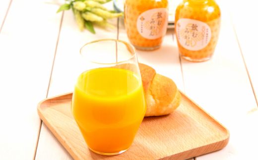 400.【定期便】飲むみかん20本×６ヶ月お届け（A400-3）