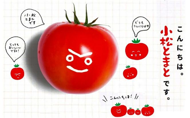 おいしいトマトでつくったカレー5箱セット　008035