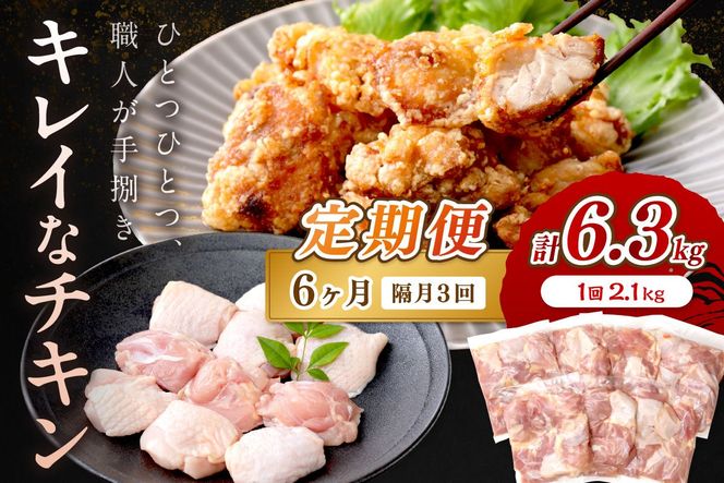 ys{OszyցEu3zƂɂY`LsEOY ؐgi7pbNj@lC SS TCY Jbg ^ Ⓚ {̓g  Ƃ胂  {  ؐg Hא؂  吷 ς Y 