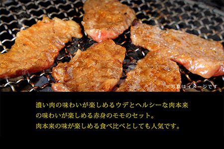 ＜宮崎牛赤身焼肉600g(300g×2)＞3か月以内に順次出荷【c717_tf_x2】