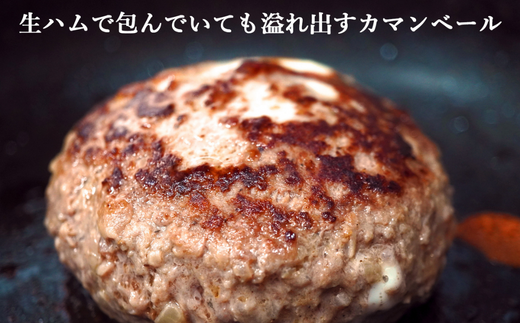 道産和牛カマンベールチーズハンバーグ（200g）5個入り MROA049